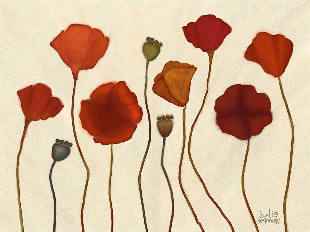 poppies graphic illustration