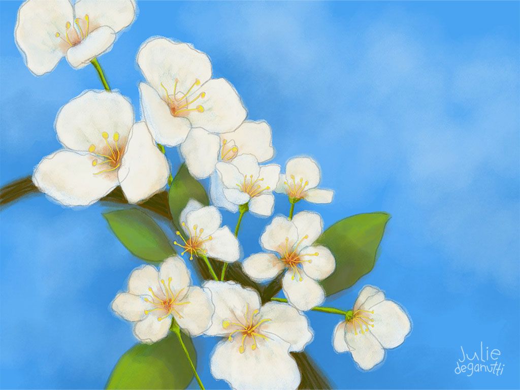 bougainvillia home decor illustration